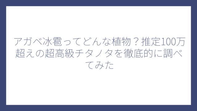 アガベ冰雹ってどんな植物？推定100万超えの超高級チタノタを徹底的に調べてみた