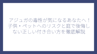 アジュガの毒性が気になるあなたへ！子供・ペットへのリスクと庭で後悔しない正しい付き合い方を徹底解説