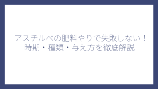 アスチルベの肥料やりで失敗しない！時期・種類・与え方を徹底解説