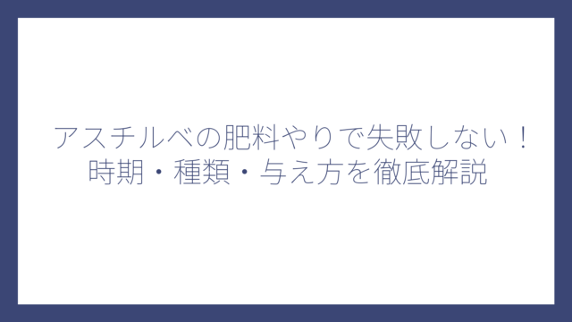 アスチルベの肥料やりで失敗しない！時期・種類・与え方を徹底解説