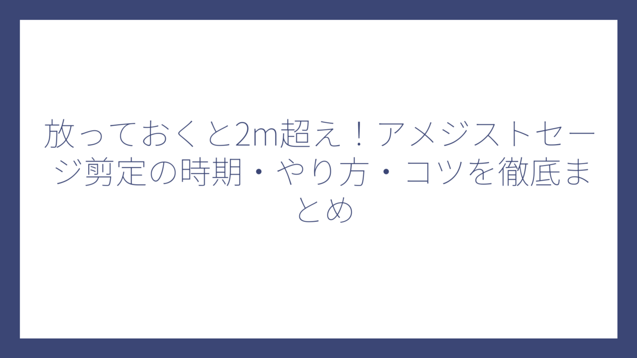 放っておくと2m超え！アメジストセージ剪定の時期・やり方・コツを徹底まとめ