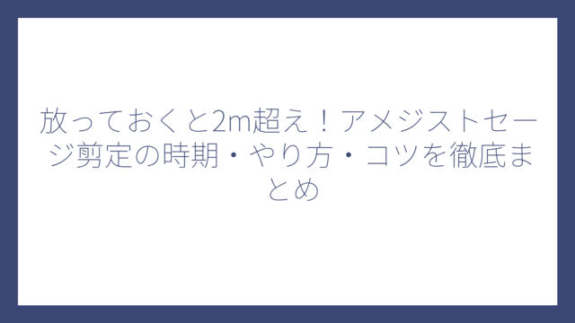 放っておくと2m超え！アメジストセージ剪定の時期・やり方・コツを徹底まとめ
