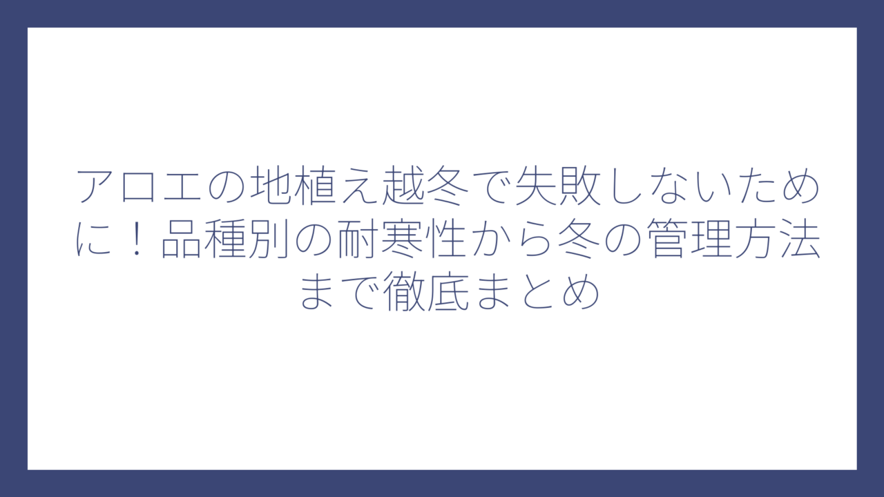 アロエの地植え越冬で失敗しないために！品種別の耐寒性から冬の管理方法まで徹底まとめ