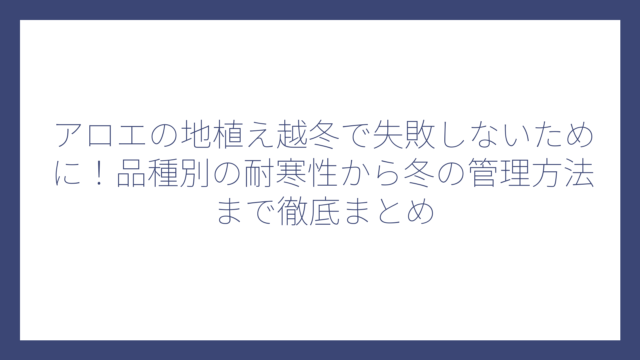 アロエの地植え越冬で失敗しないために！品種別の耐寒性から冬の管理方法まで徹底まとめ