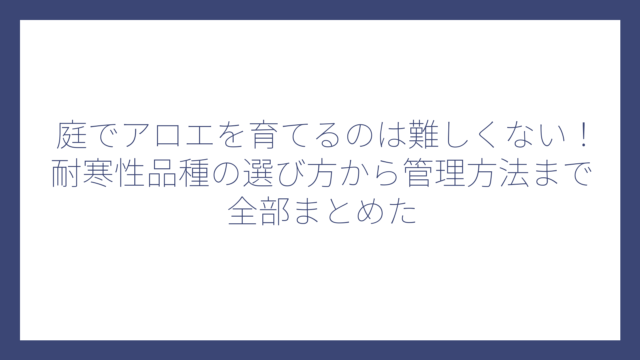 庭でアロエを育てるのは難しくない！耐寒性品種の選び方から管理方法まで全部まとめた