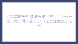 アロエ撤去を徹底解説！根っこから完全に取り除く正しい方法と注意点まとめ