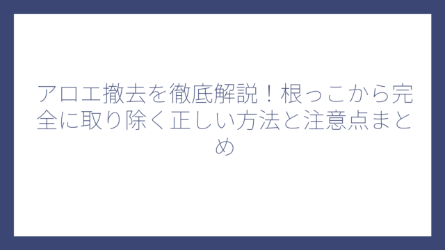 アロエ撤去を徹底解説！根っこから完全に取り除く正しい方法と注意点まとめ