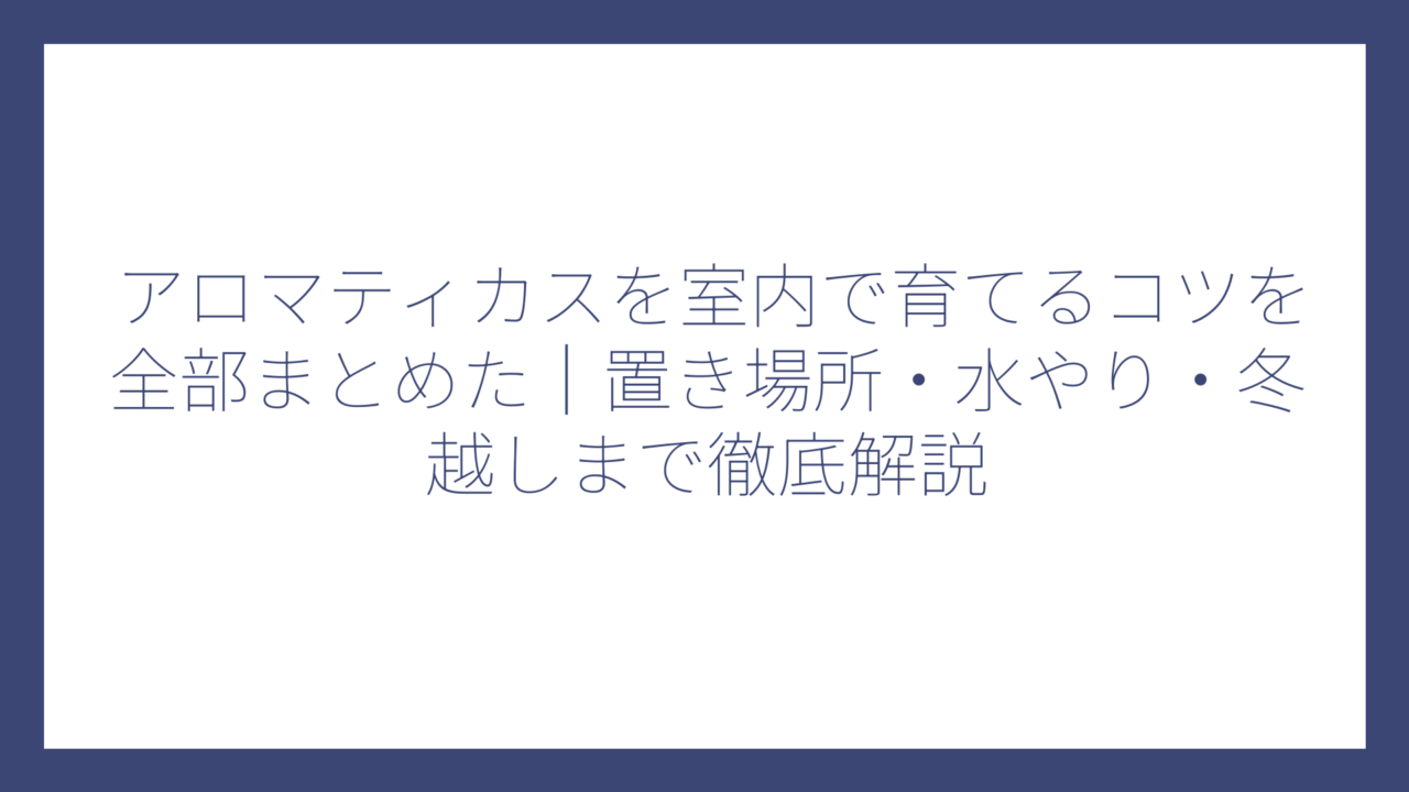 アロマティカスを室内で育てるコツを全部まとめた｜置き場所・水やり・冬越しまで徹底解説