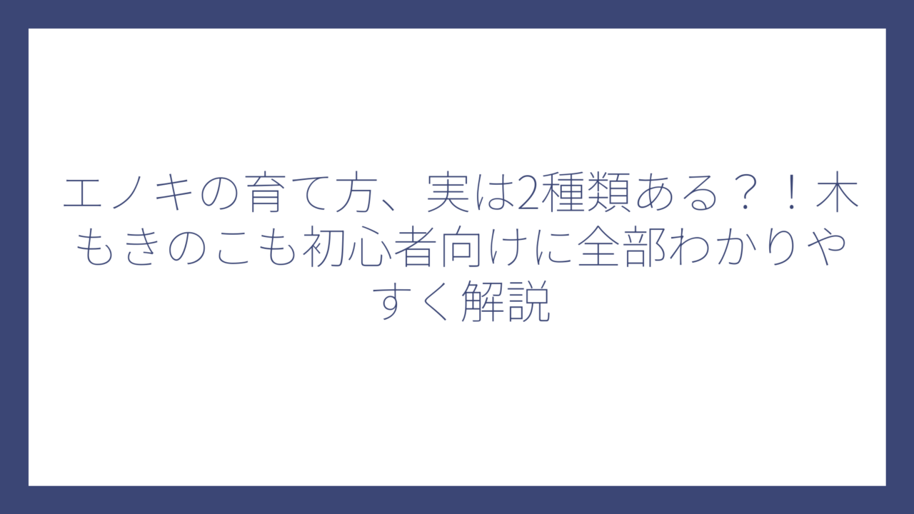 エノキの育て方、実は2種類ある？！木もきのこも初心者向けに全部わかりやすく解説