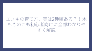 エノキの育て方、実は2種類ある？！木もきのこも初心者向けに全部わかりやすく解説