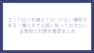 エリゲロンを植えてはいけない場所がある！増えすぎる前に知っておきたい全真相と対策を徹底まとめ