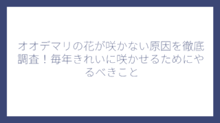 オオデマリの花が咲かない原因を徹底調査！毎年きれいに咲かせるためにやるべきこと