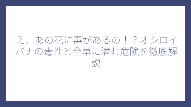 え、あの花に毒があるの！？オシロイバナの毒性と全草に潜む危険を徹底解説