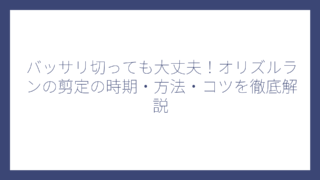 バッサリ切っても大丈夫！オリズルランの剪定の時期・方法・コツを徹底解説