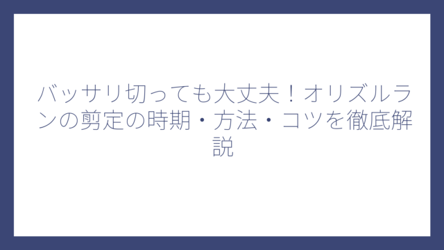 バッサリ切っても大丈夫！オリズルランの剪定の時期・方法・コツを徹底解説