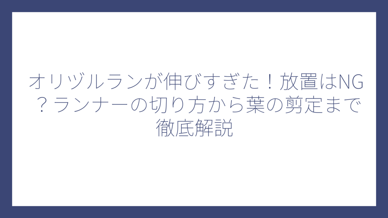 オリヅルランが伸びすぎた！放置はNG？ランナーの切り方から葉の剪定まで徹底解説
