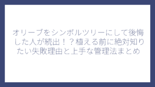 オリーブをシンボルツリーにして後悔した人が続出！？植える前に絶対知りたい失敗理由と上手な管理法まとめ
