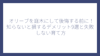 オリーブを庭木にして後悔する前に！知らないと損するデメリット9選と失敗しない育て方