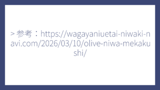 > 参考：https://wagayaniuetai-niwaki-navi.com/2026/03/10/olive-niwa-mekakushi/