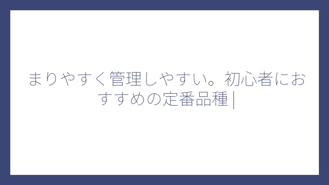 まりやすく管理しやすい。初心者におすすめの定番品種 |
