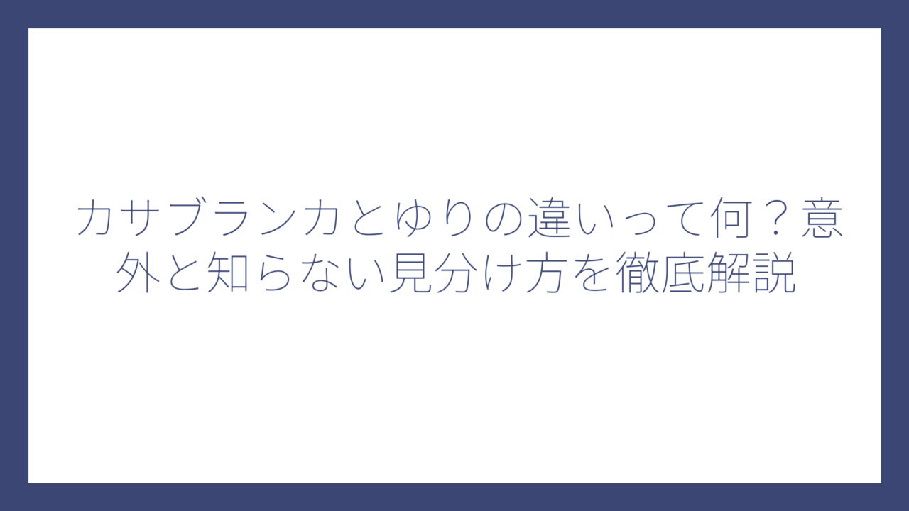 カサブランカとゆりの違いって何？意外と知らない見分け方を徹底解説
