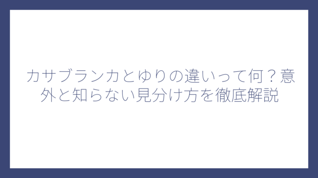 カサブランカとゆりの違いって何？意外と知らない見分け方を徹底解説