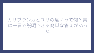 カサブランカとユリの違いって何？実は一言で説明できる簡単な答えがあった
