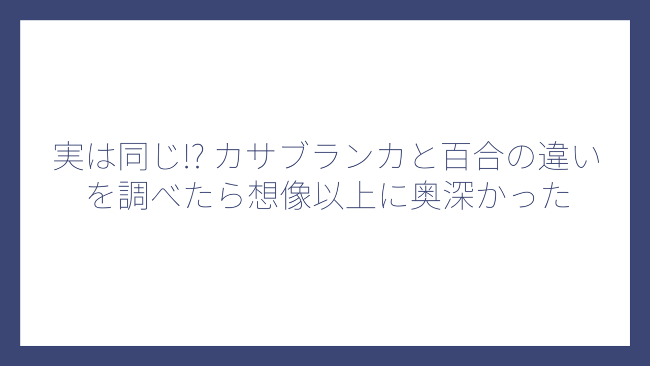 実は同じ!? カサブランカと百合の違いを調べたら想像以上に奥深かった