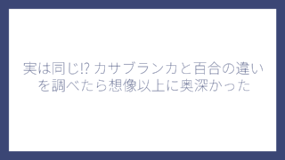 実は同じ!? カサブランカと百合の違いを調べたら想像以上に奥深かった