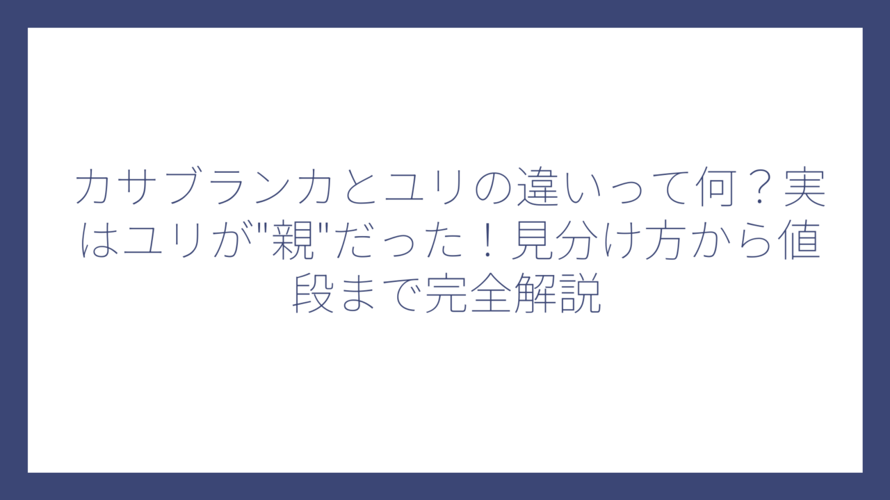 カサブランカとユリの違いって何？実はユリが”親”だった！見分け方から値段まで完全解説