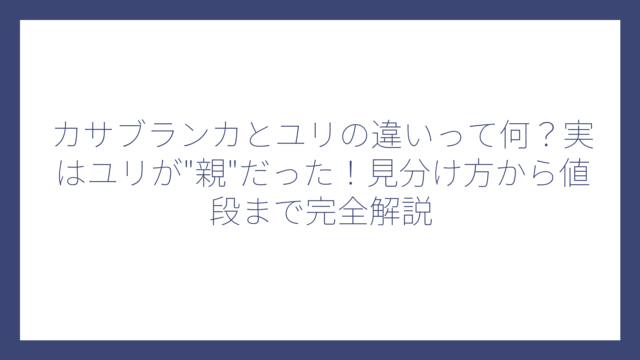 カサブランカとユリの違いって何？実はユリが”親”だった！見分け方から値段まで完全解説