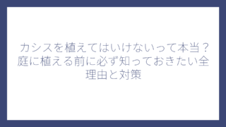 カシスを植えてはいけないって本当？庭に植える前に必ず知っておきたい全理由と対策