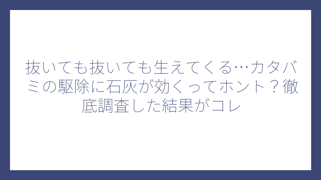 抜いても抜いても生えてくる…カタバミの駆除に石灰が効くってホント？徹底調査した結果がコレ
