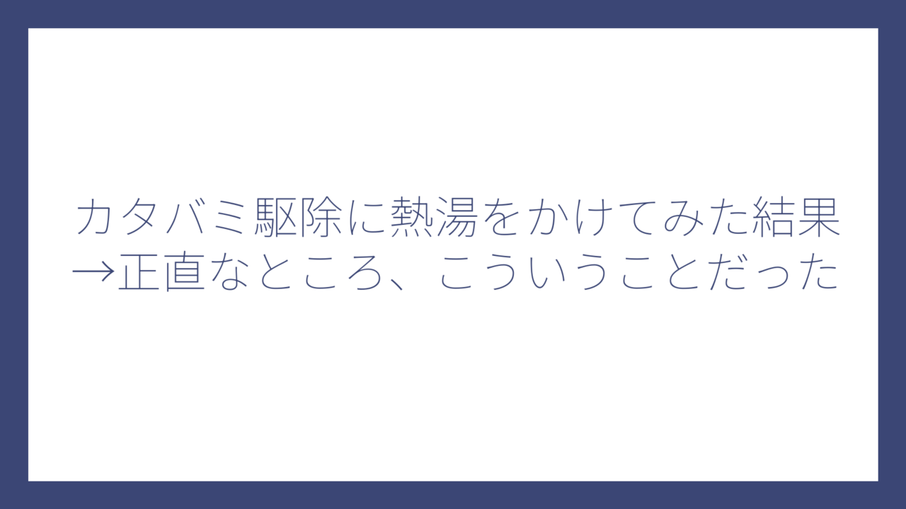 カタバミ駆除に熱湯をかけてみた結果→正直なところ、こういうことだった