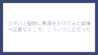 カタバミ駆除に熱湯をかけてみた結果→正直なところ、こういうことだった