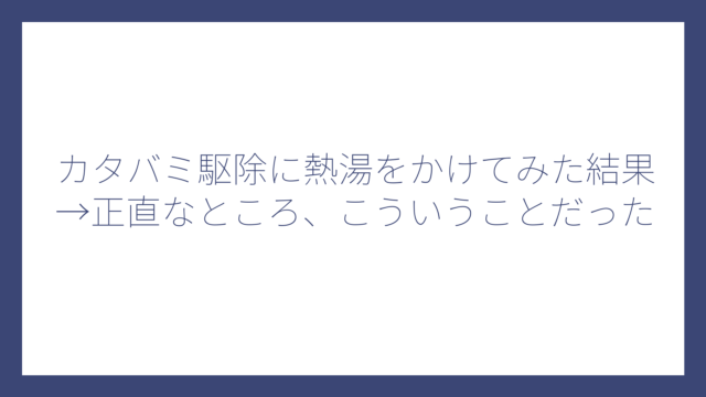 カタバミ駆除に熱湯をかけてみた結果→正直なところ、こういうことだった