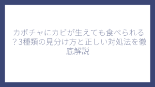 カボチャにカビが生えても食べられる？3種類の見分け方と正しい対処法を徹底解説