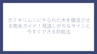 カミキリムシにやられた木を復活させる完全ガイド！見逃しがちなサインと今すぐできる対処法