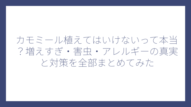 カモミール植えてはいけないって本当？増えすぎ・害虫・アレルギーの真実と対策を全部まとめてみた