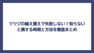 ツツジの植え替えで失敗しない！知らないと損する時期と方法を徹底まとめ