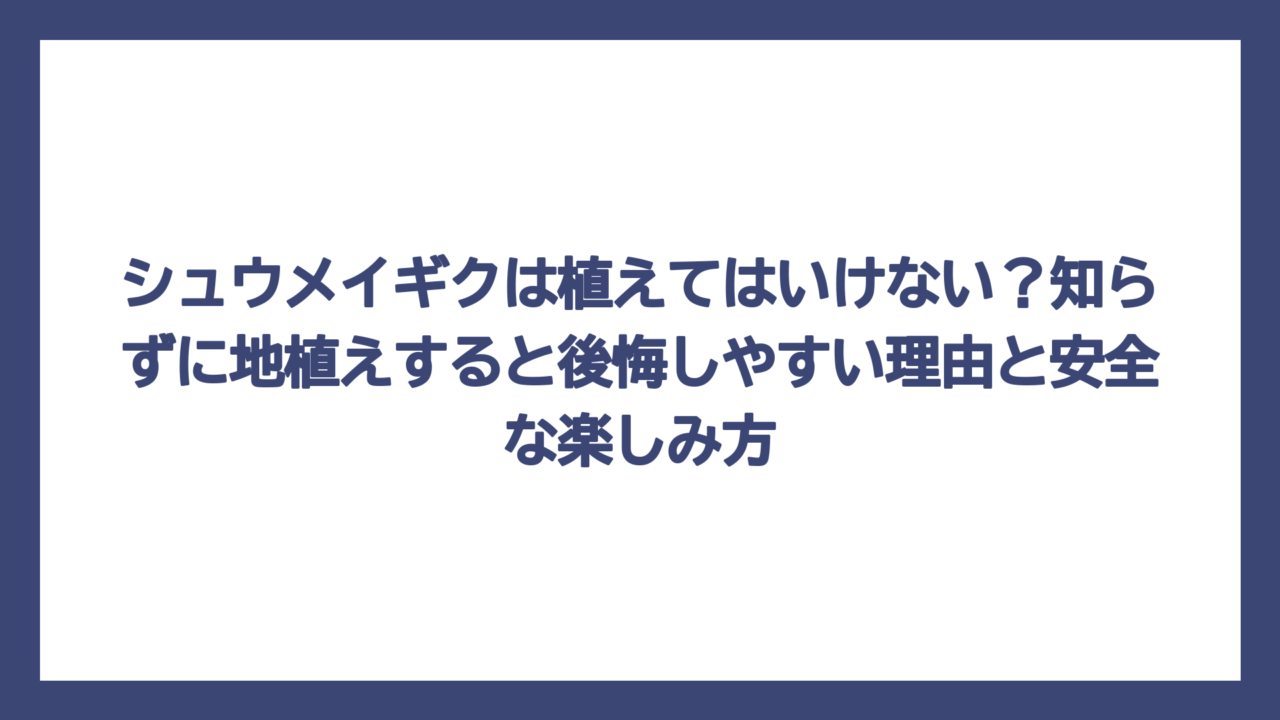 シュウメイギクは植えてはいけない？知らずに地植えすると後悔しやすい理由と安全な楽しみ方