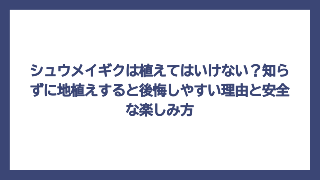 シュウメイギクは植えてはいけない？知らずに地植えすると後悔しやすい理由と安全な楽しみ方
