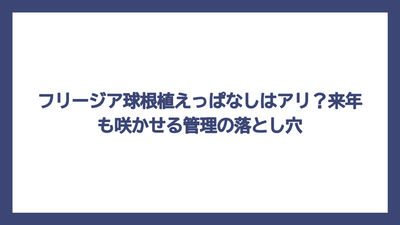 フリージア球根植えっぱなしはアリ？来年も咲かせる管理の落とし穴
