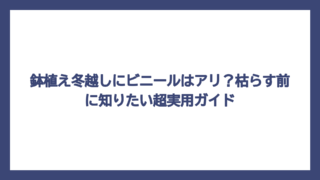 鉢植え冬越しにビニールはアリ？枯らす前に知りたい超実用ガイド
