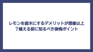 レモンを庭木にするデメリットが想像以上？植える前に知るべき後悔ポイント