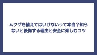 ムクゲを植えてはいけないって本当？知らないと後悔する理由と安全に楽しむコツ