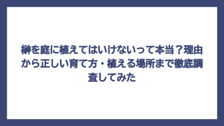 榊を庭に植えてはいけないって本当？理由から正しい育て方・植える場所まで徹底調査してみた