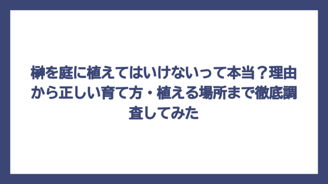 榊を庭に植えてはいけないって本当？理由から正しい育て方・植える場所まで徹底調査してみた