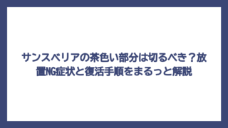 サンスベリアの茶色い部分は切るべき？放置NG症状と復活手順をまるっと解説