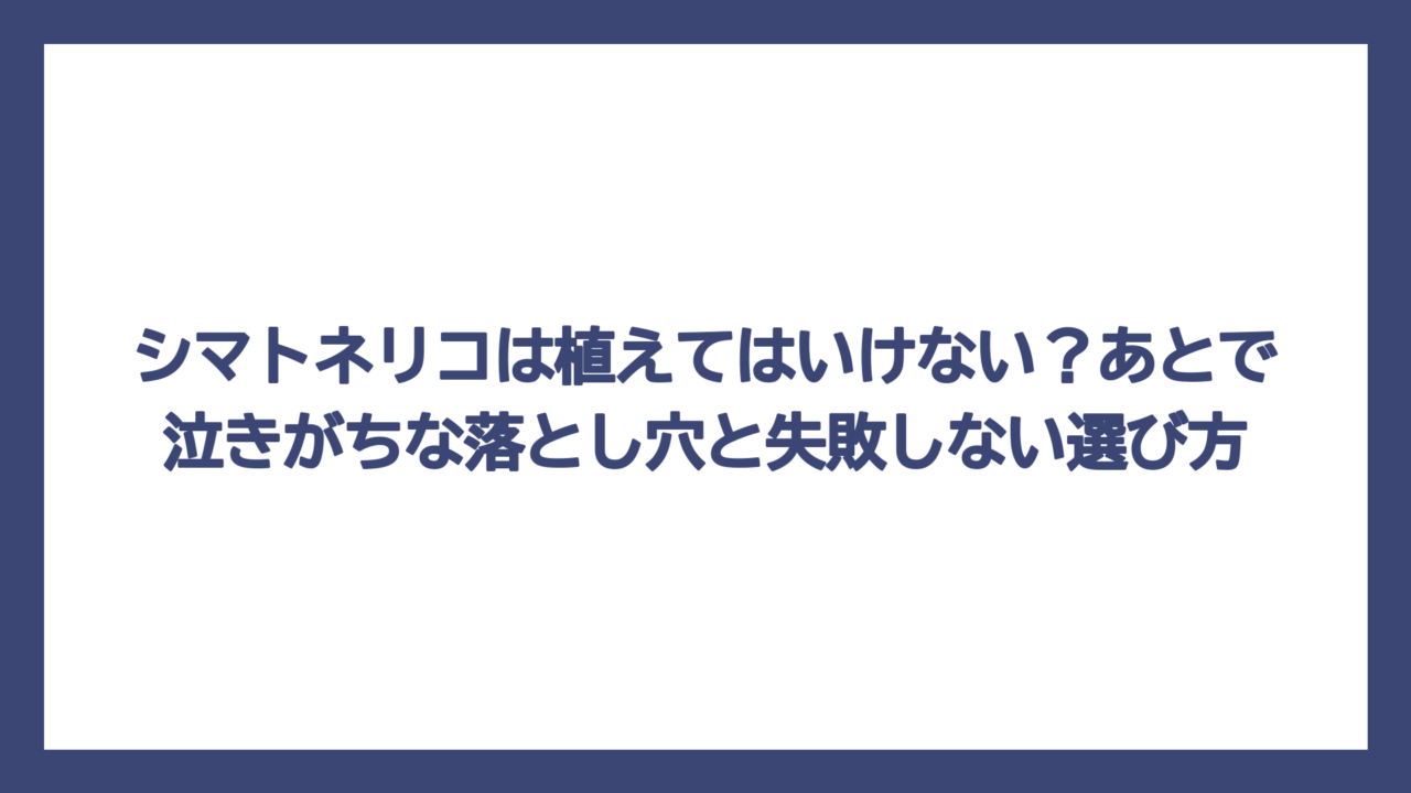 シマトネリコは植えてはいけない？あとで泣きがちな落とし穴と失敗しない選び方